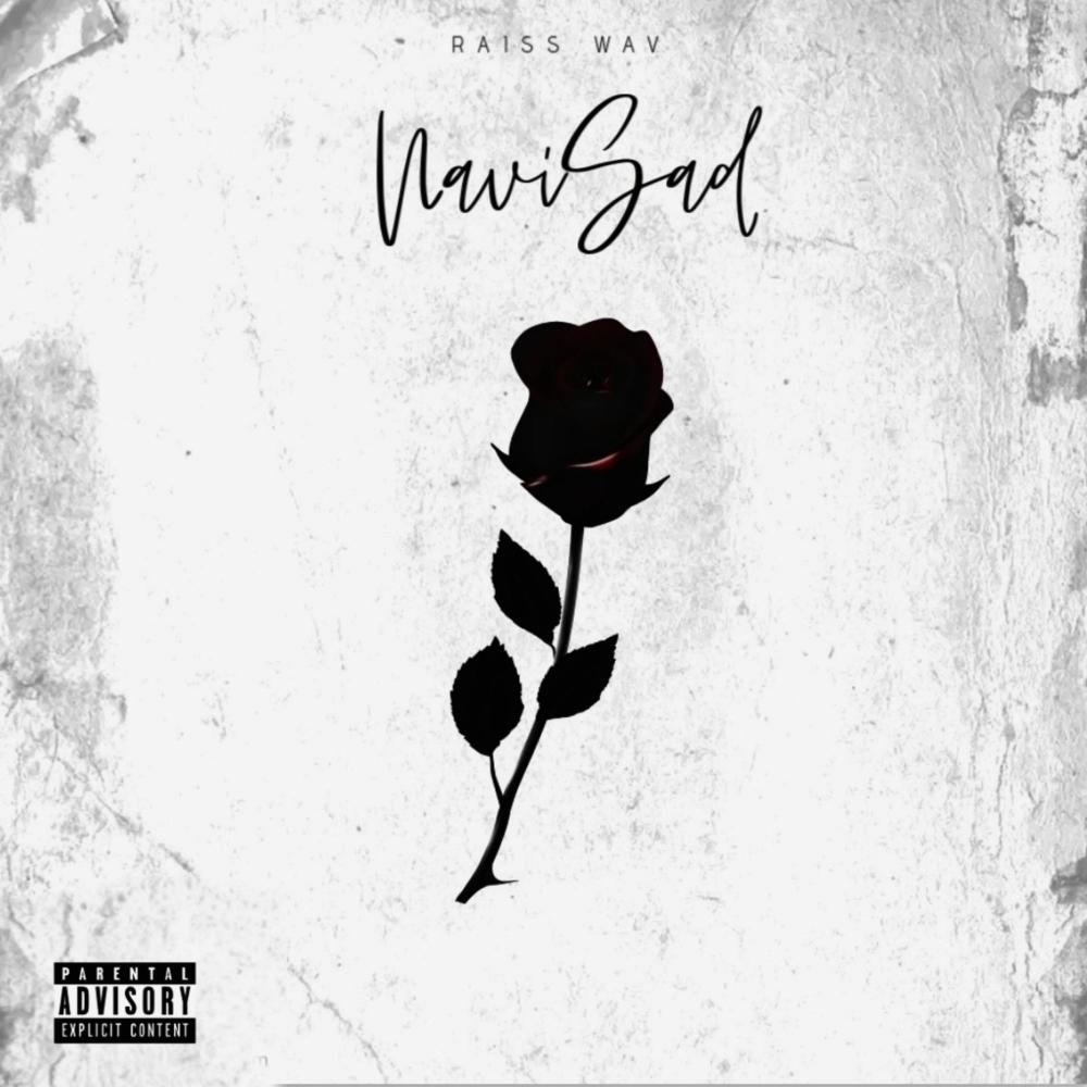 NaviSad (Explicit)