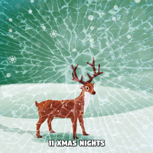 The Merry Christmas Players的专辑11 Xmas Nights