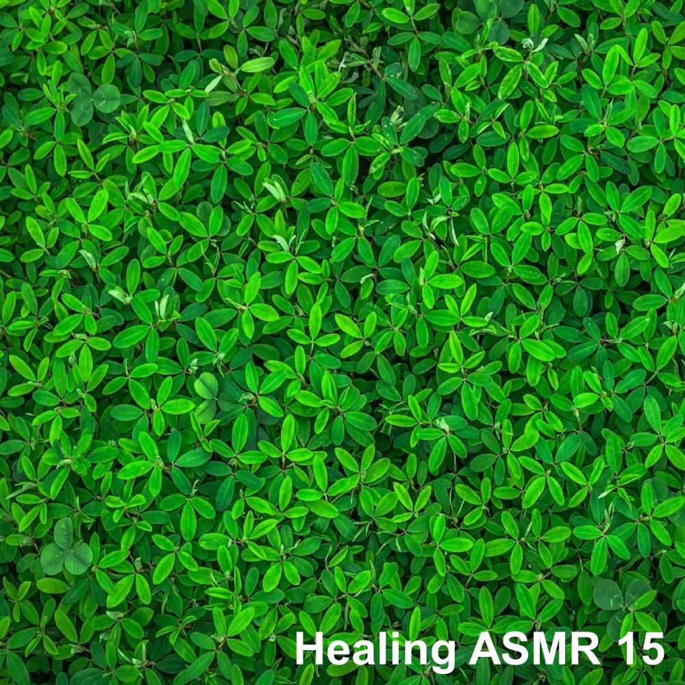Healing ASMR 15 - The Best Sound of Rain for Sleep