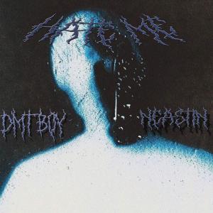Listen to Hate Me song with lyrics from neastin