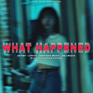 Taufique Muzic的專輯What Happened