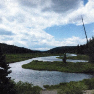 ดาวน์โหลดและฟังเพลง Cowboy Summer พร้อมเนื้อเพลงจาก Distant Cowboy