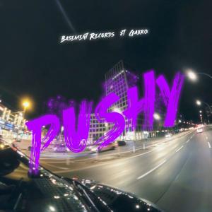 Gabrix的專輯Pushy (feat. Gabrix) [Explicit]