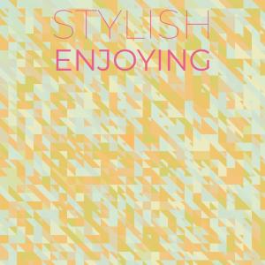 Album Stylish Enjoying oleh Various