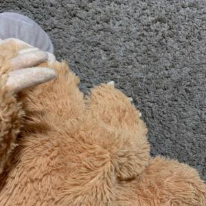 Listen to Mary(merci) (Explicit) song with lyrics from Fresco32