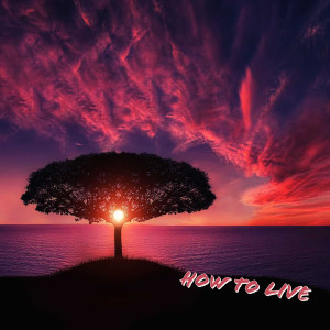 ดาวน์โหลดและฟังเพลง How to Live พร้อมเนื้อเพลงจาก Marc Dinoh