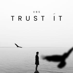 VBS的專輯Trust it
