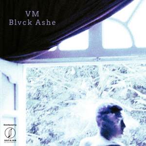 Blvck Ashe的專輯VM (Explicit)