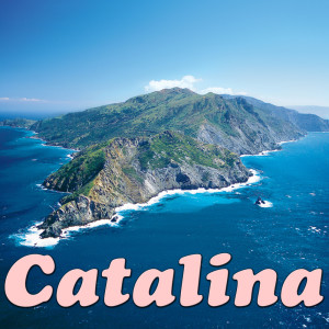 ดาวน์โหลดและฟังเพลง Catalina พร้อมเนื้อเพลงจาก Wildlife