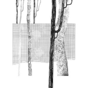 ดาวน์โหลดและฟังเพลง Aves พร้อมเนื้อเพลงจาก Rambadu