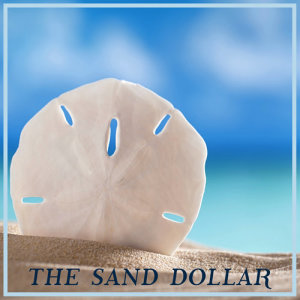收聽Classical Study Music的The Sand Dollar歌詞歌曲