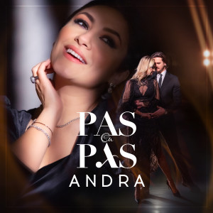 Album Pas cu pas oleh Andra