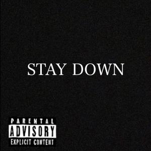 Album Stay Down (feat. F.A.B & DOM_i_NIQUE) (Explicit) oleh ayi