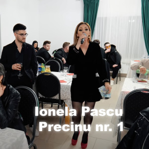 Listen to Precinu nr.1 song with lyrics from Ionela Pascu