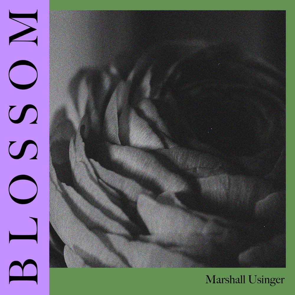 Blossom (Instrumental Version)