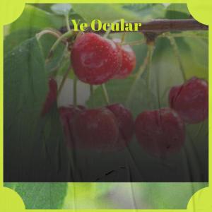 Listen to Spare Yon song with lyrics from Pankie