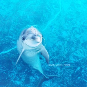 Listen to Swimming Pool song with lyrics from 키아나