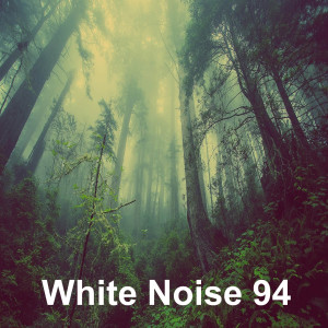 Album 정글 빗소리 (빗소리 백색소음 화이트노이즈 수면 자장가) from White Noise