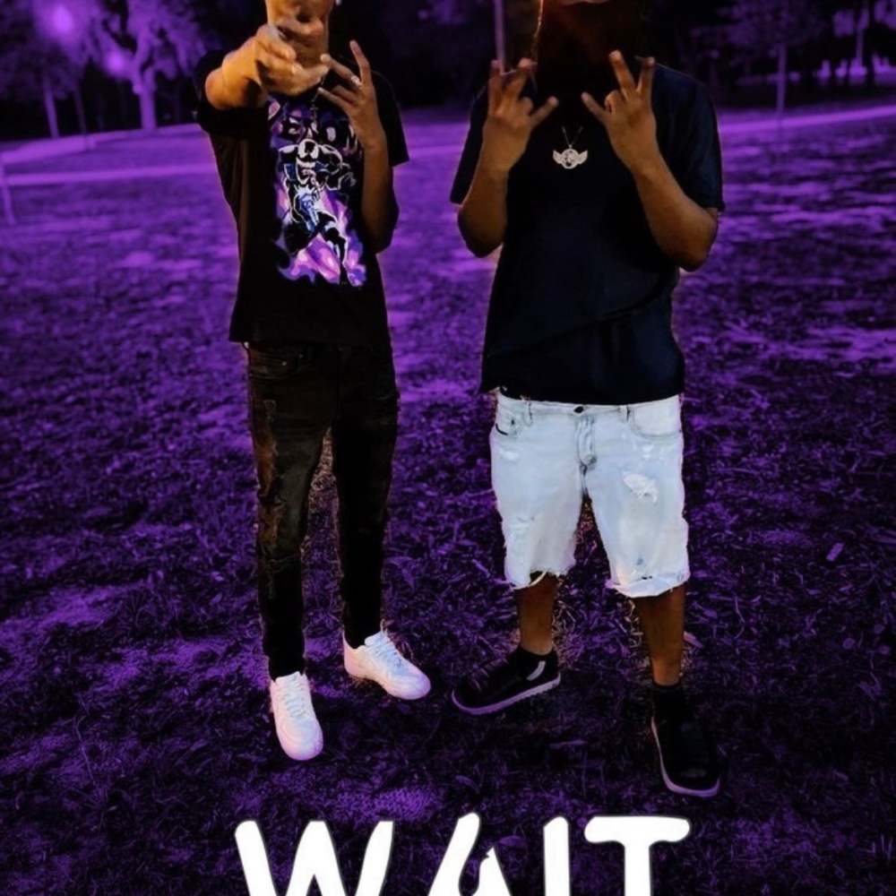 Wait (Explicit)