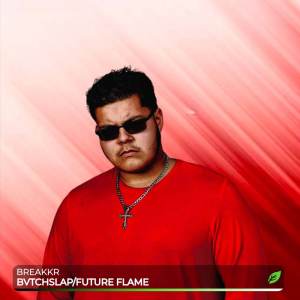 Listen to Future Flame song with lyrics from Breakkr