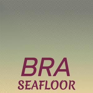 อัลบัม Bra Seafloor ศิลปิน Various