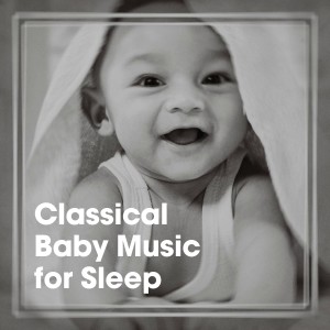 Baby Sleep Through the Night的專輯Classical Baby Music for Sleep