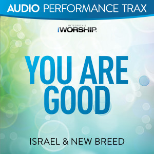 Listen to You Are Good song with lyrics from Israel & New Breed