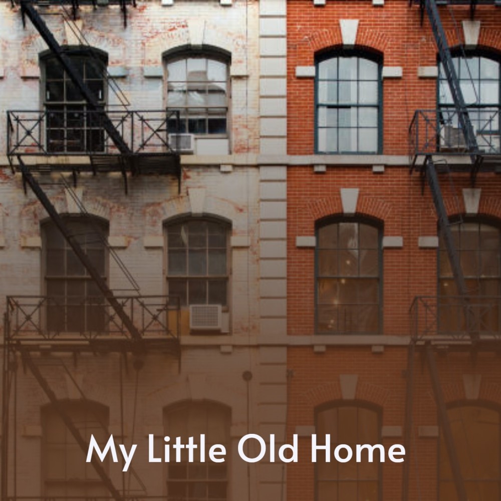 My Window Faces the South