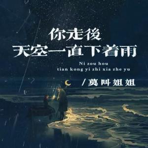 อัลบัม 你走后天空一直下着雨 ศิลปิน 莫叫姐姐