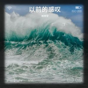 收听新样字的我不该呵护你 (伴奏)歌词歌曲