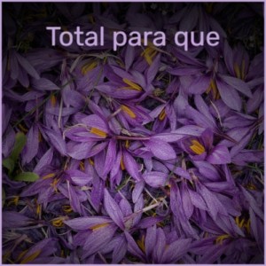 Listen to Senorita Luna song with lyrics from Enrique Rodriguez