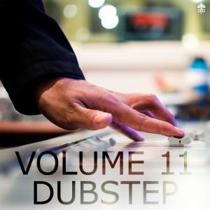 Listen to Dub Is Not For Chicks (Yaroshi Dubstep RMX) song with lyrics from Mamanet