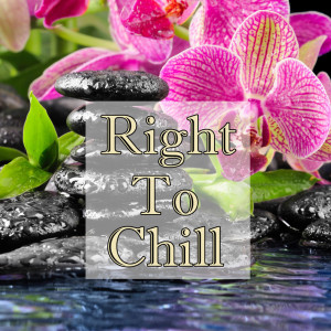 Album Right To Chill from Nature Wonders