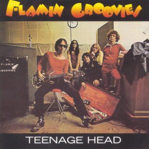 Flamin' Groovies的專輯Teenage Head