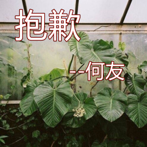 ดาวน์โหลดและฟังเพลง 抱歉 (伴奏) พร้อมเนื้อเพลงจาก 何友