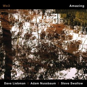 收聽Dave Liebman的Amazing歌詞歌曲