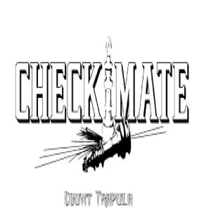Listen to Check Mate song with lyrics from Count Trapula
