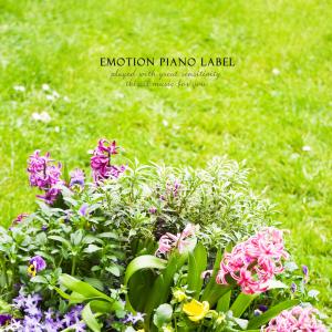 Album With you from Harmony