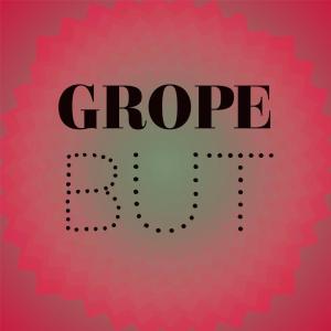 อัลบัม Grope But ศิลปิน Various