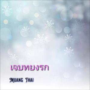 ดาวน์โหลดและฟังเพลง เจบทยงรก พร้อมเนื้อเพลงจาก Muang Thai