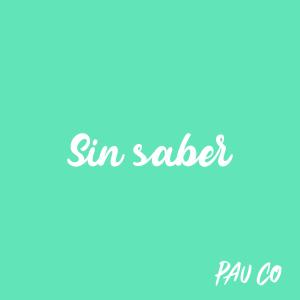 Album Sin saber from Pau Co