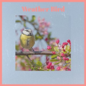 Dengarkan lagu Weather Bird nyanyian Louis Armstrong dengan lirik