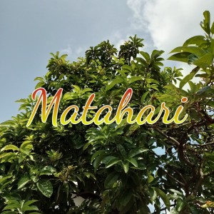 Dengarkan Mengejar Mimpi lagu dari Matahari dengan lirik