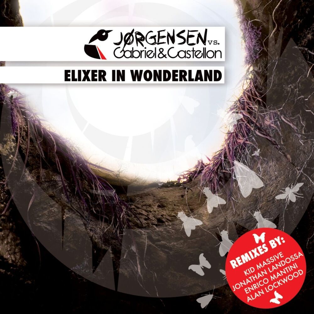 Elixer in Wonderland (Jonathan Landossa Remix)
