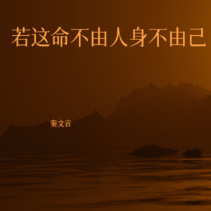 收听秦文音的若这命不由人身不由己（就别再为难自己）歌词歌曲