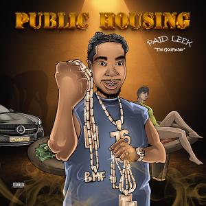 Paid Leek的專輯Public Housing (Explicit)