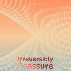 Various Artists的專輯Irreversibly Reassure