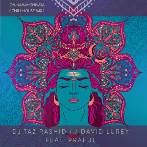 อัลบัม Om Namah Shivaya (Chill House Mix) ศิลปิน DJ Taz Rashid