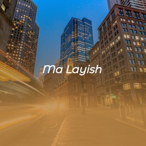 收聽Billy Vaughn的Windmills of Your Mind歌詞歌曲