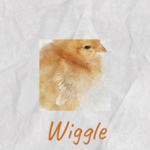 Album Wiggle from Various